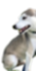 image 14.png