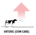 Dairy Greenhouse Gases 3.png