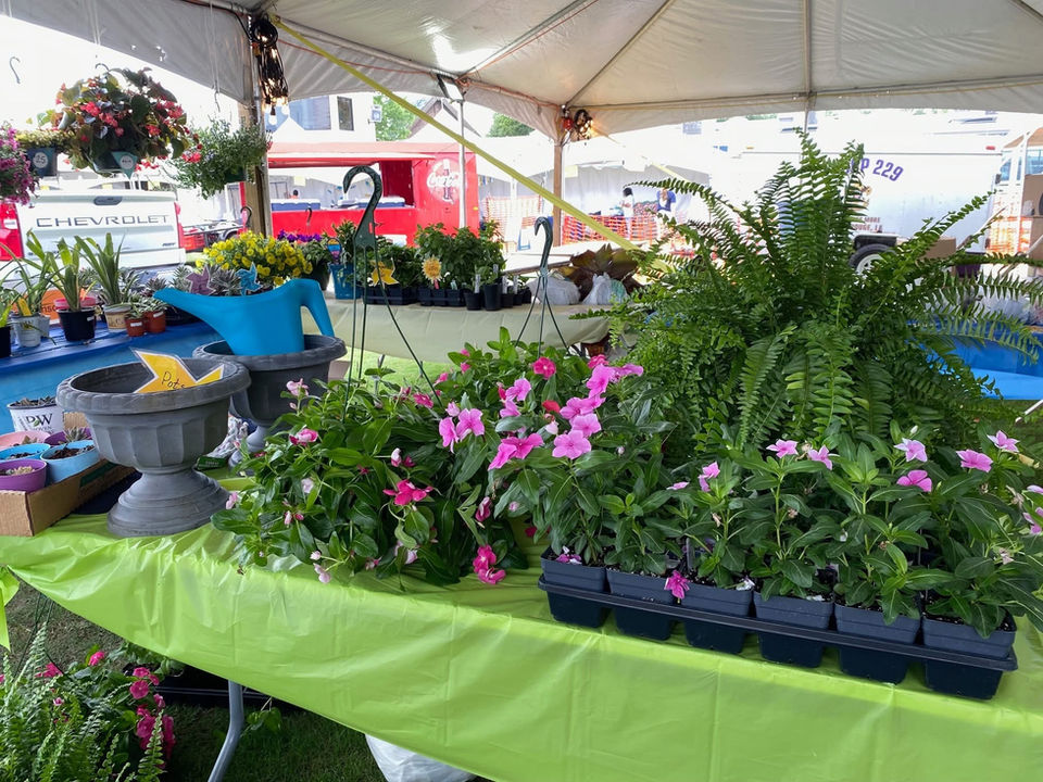 Potted plants for sale, including ferns and pink flowers, under tent. CHEVROLET.