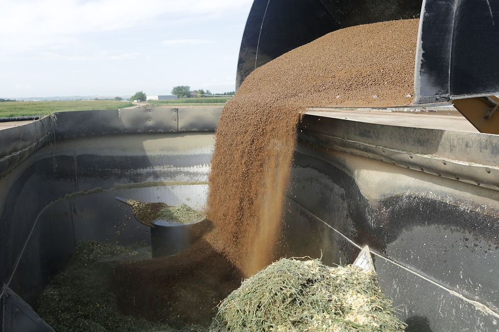 Loading feed into large container