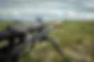 Precision rifle with scope and bipod in grassy field
