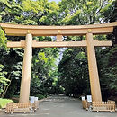明治神宮 鳥居_edited.jpg