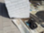 MVIMG_20190401_102312.jpg