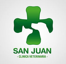 LOGO SNA JUAN.jfif