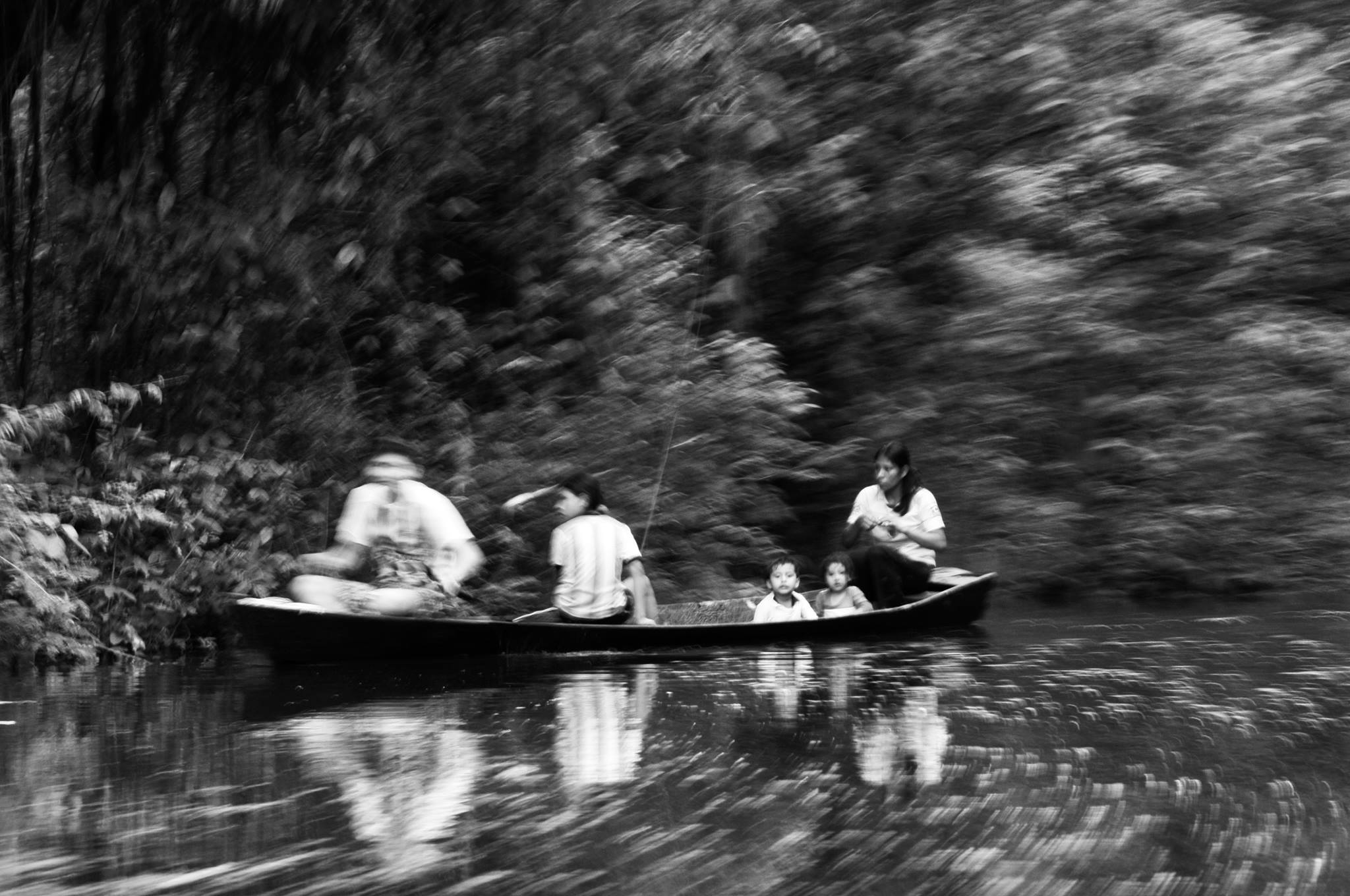 Amazonas 6