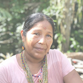 Tntn Lucitante_edited.jpg