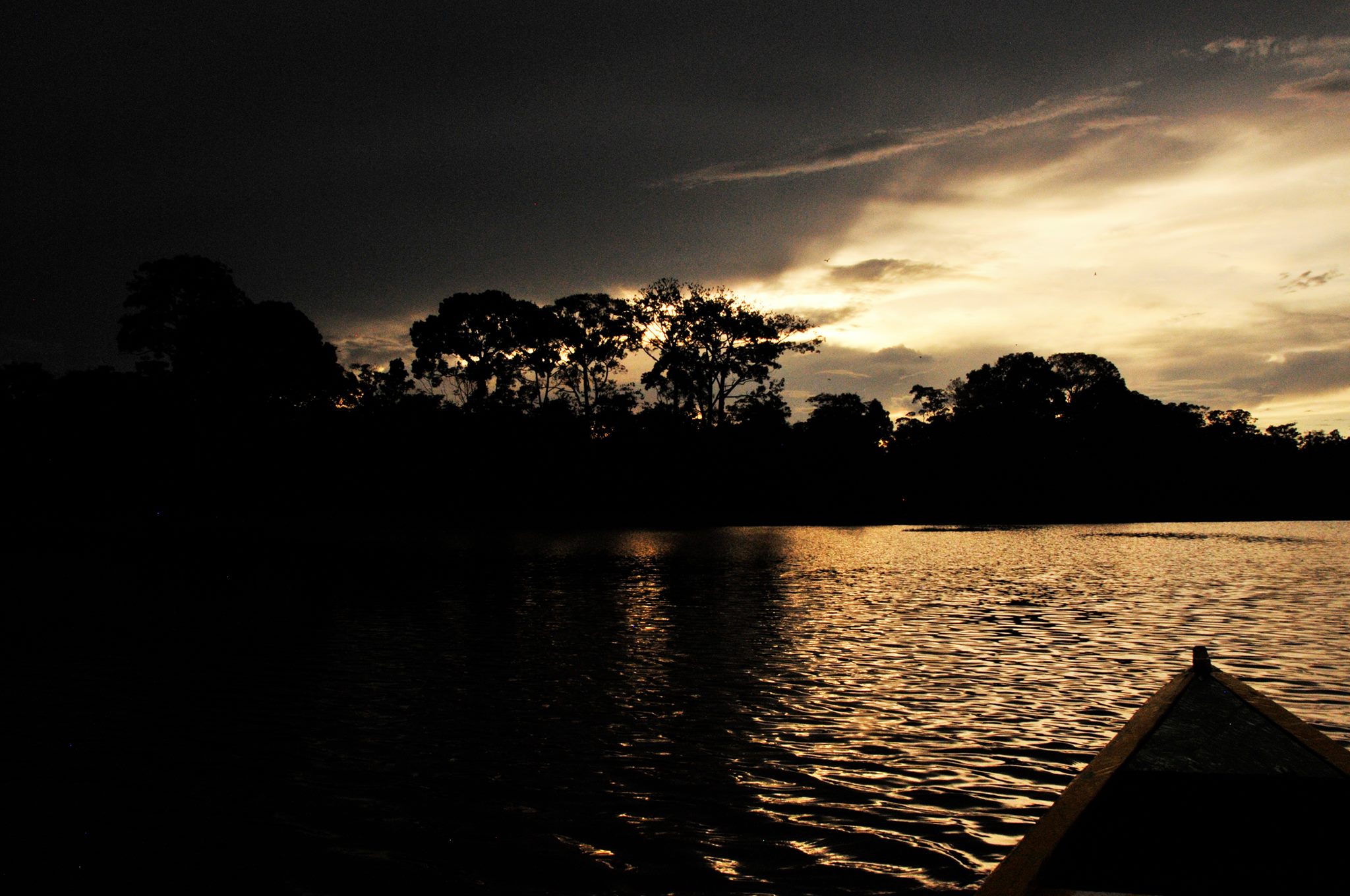 Amazonas 4