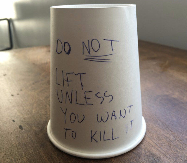 do NOT lift this cup!!