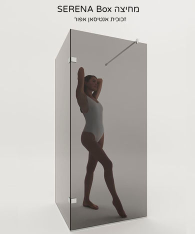 מחיצה מקלחת פינתי