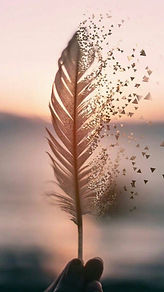 IMG_3102.jpeg
