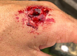 2D119B90-18DF-4DEB-90A2-10DA7ACB0E19_edi