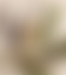 Essence Vitale Universelle Mary Cohr, soin revitalisant visage disponible en institut à Aigues-Mortes