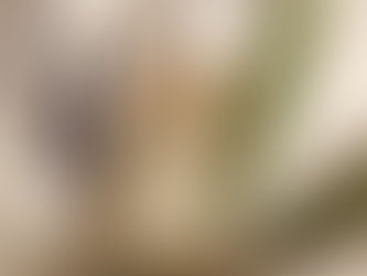 Essence Vitale Universelle Mary Cohr, soin revitalisant visage disponible en institut à Aigues-Mortes