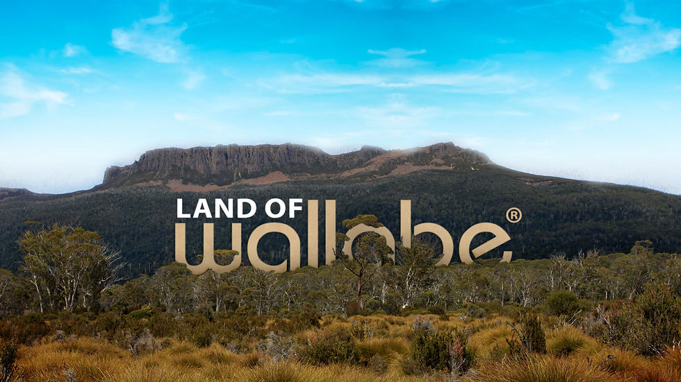 Wallabe_Website_BG_03 2.jpeg