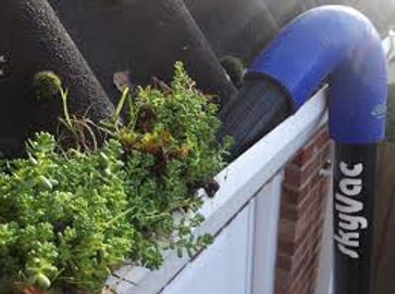 Gutter cleaning.jpg