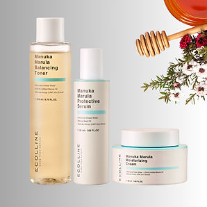 Projekt bez nazwy.png