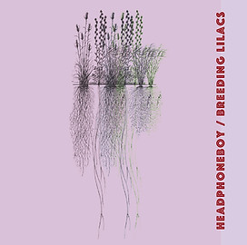 solid-lilac-fabric_large copy.jpg