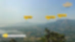 ree