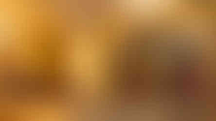 A Royal Retreat at Fairmont Jaipur