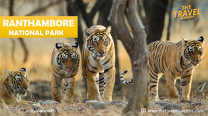 Weekend Getaway: Ranthambore National Park