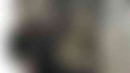 Robbers Caves Dehradun