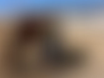 Podcast: Sport Horse Rounds with Dr. Daniella Vansteenkiste