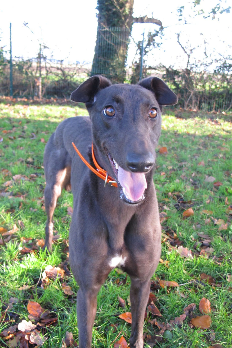 c82ddcb7-a535-4583-a967-7bc552904b7b.jfif