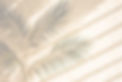 palm-tree-is-casting-shadow-wall_759095-_edited.jpg