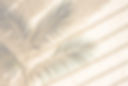palm-tree-is-casting-shadow-wall_759095-_edited.jpg