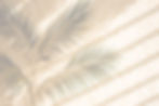 palm-tree-is-casting-shadow-wall_759095-_edited.jpg