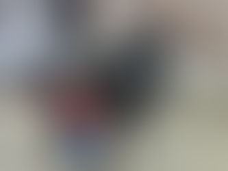 🏍️ Harley Davidson Bremsenwechsel in Duisburg – Electra Glide Limited bei Reifenservice Scherer!