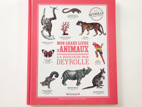 [ LECTURE ] Mon grand livre d’animaux : La zoologie par Deyrolle