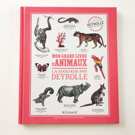 [ LECTURE ] Mon grand livre d’animaux : La zoologie par Deyrolle