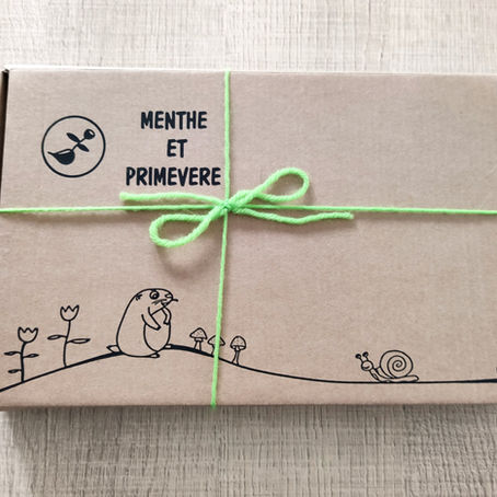 [ JARDINAGE ] Menthe et Primevère - Regarde la nature grandir