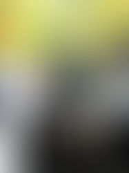 Travel in Luxury with Executive Chauffeur Service by Quick Austin Limo