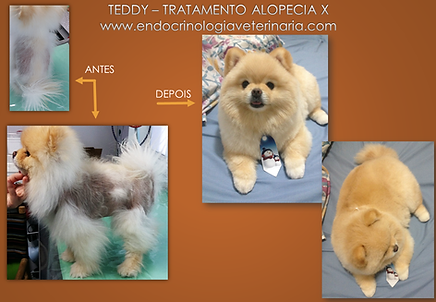 Alopecia X