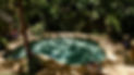 DJI_0401.jpeg