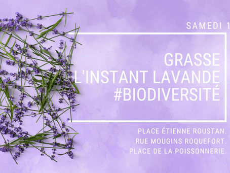 L'Instant Lavande à Grasse