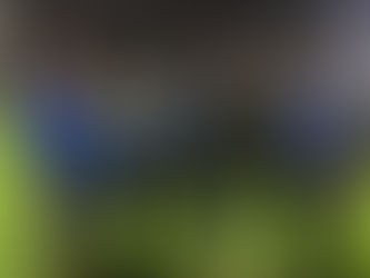 Nytt trenerteam for damelaget