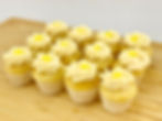 Mini Mangolicious Cupcakes (12 pcs.)