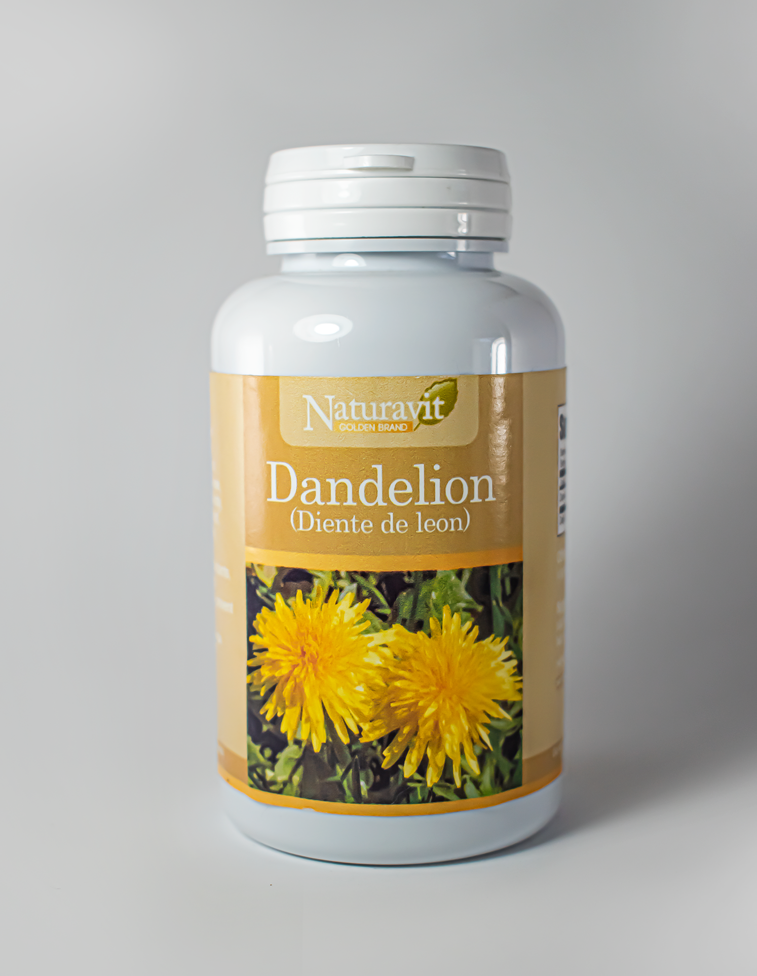 Dandelion - Diente de leon