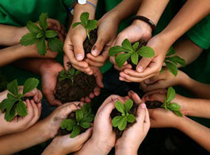 SOCIETE_WWFJessSamario_CreditsPhotoAnne-