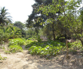 22-01 BARRIO LA LIMA