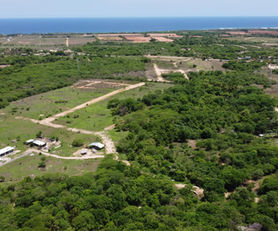 06-15 EL PEDREGAL