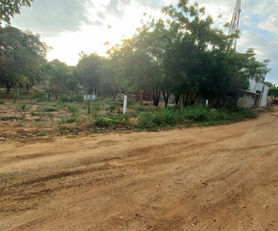 06-21 ZICATELA