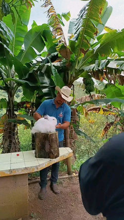 438390891_827098249229297_4443749584112075874_n