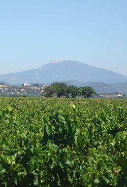VENTOUX_edited