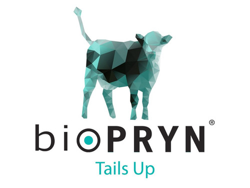 Biopryn Lab Blood Pregnancy Testing Kits - Prepaid | Cattle Repro
