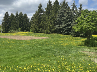 New Community Garden