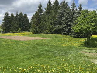 New Community Garden